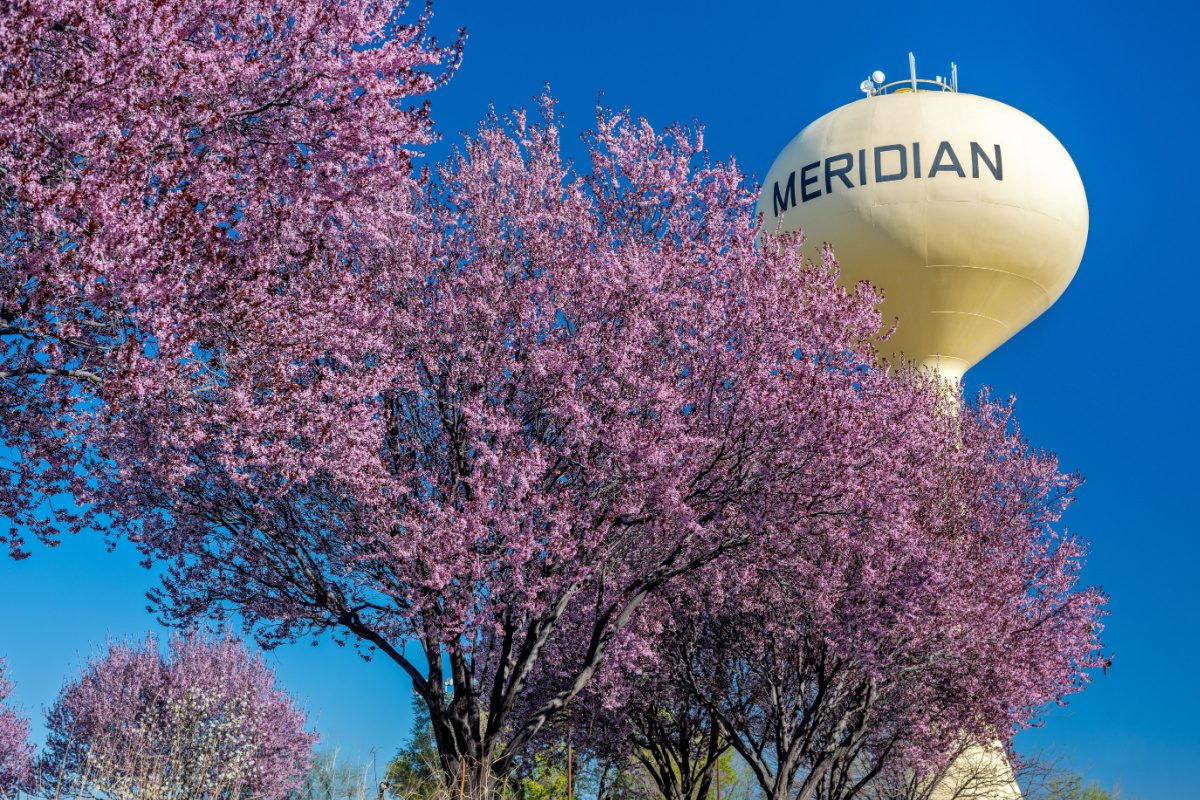 Meridian water tower on a gorgeous day in Idaho. Though not quite its most populous city, Meridian is a larger metropolitan area with a small town feel and numerous parks