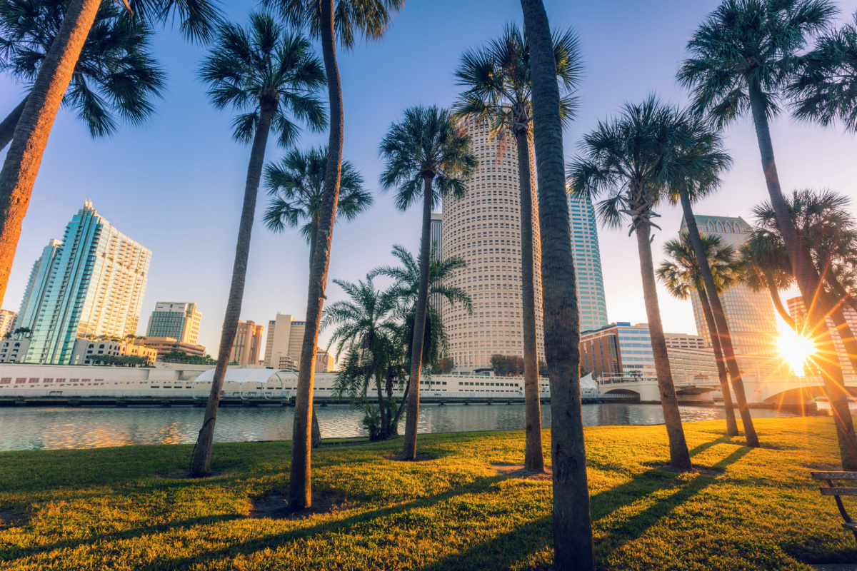 Downtown Tampa apartment building seen through some palm trees at sunset on a clear day